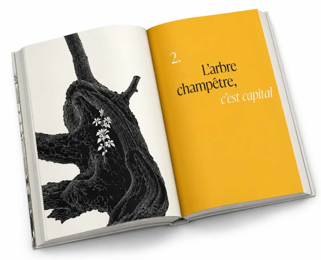 Arbre-champetre-illustré par Florence Gendre
